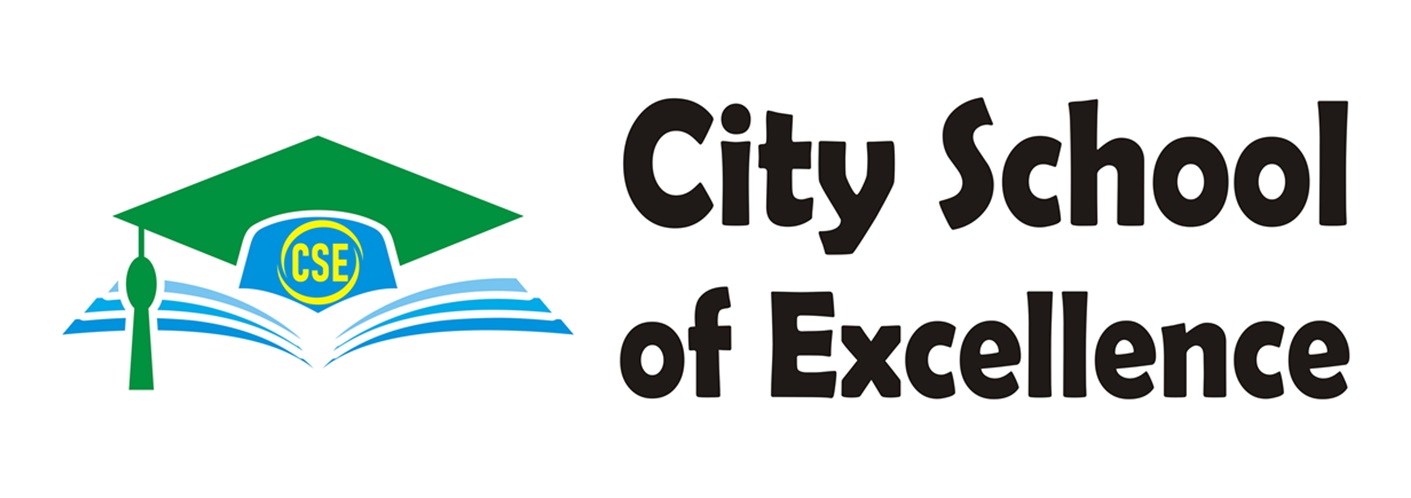 The City School of Excellence